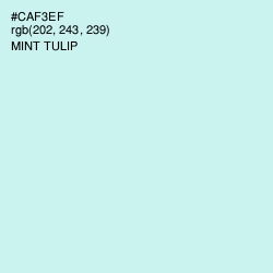 #CAF3EF - Mint Tulip Color Image